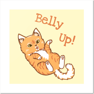 Belly Up Cat Posters and Art